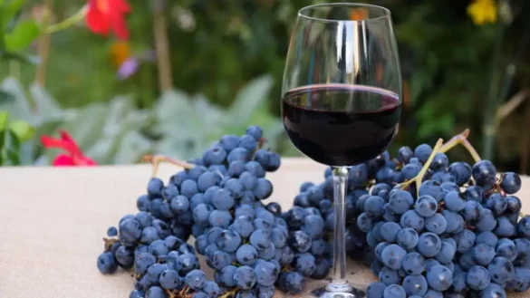 malbec